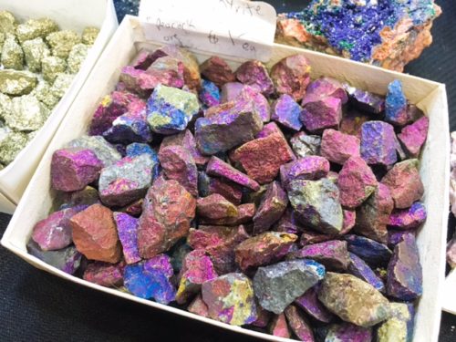 化石と鉱物の祭典 ミネラルショー いってきました シアトルの生活情報誌 ソイソース