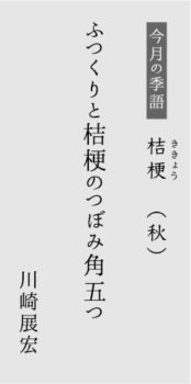今月の季語 桔梗 ききょう 秋 シアトルの生活情報誌 ソイソース