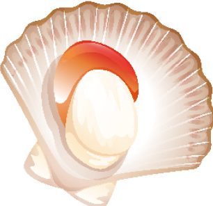 ホタテとエリンギのともだち風 シアトルの生活情報誌 ソイソース