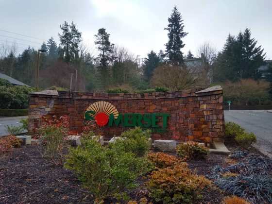 トロンソンあやこさんに聞く 日本人が住みたい街 シアトルの生活情報誌 ソイソース